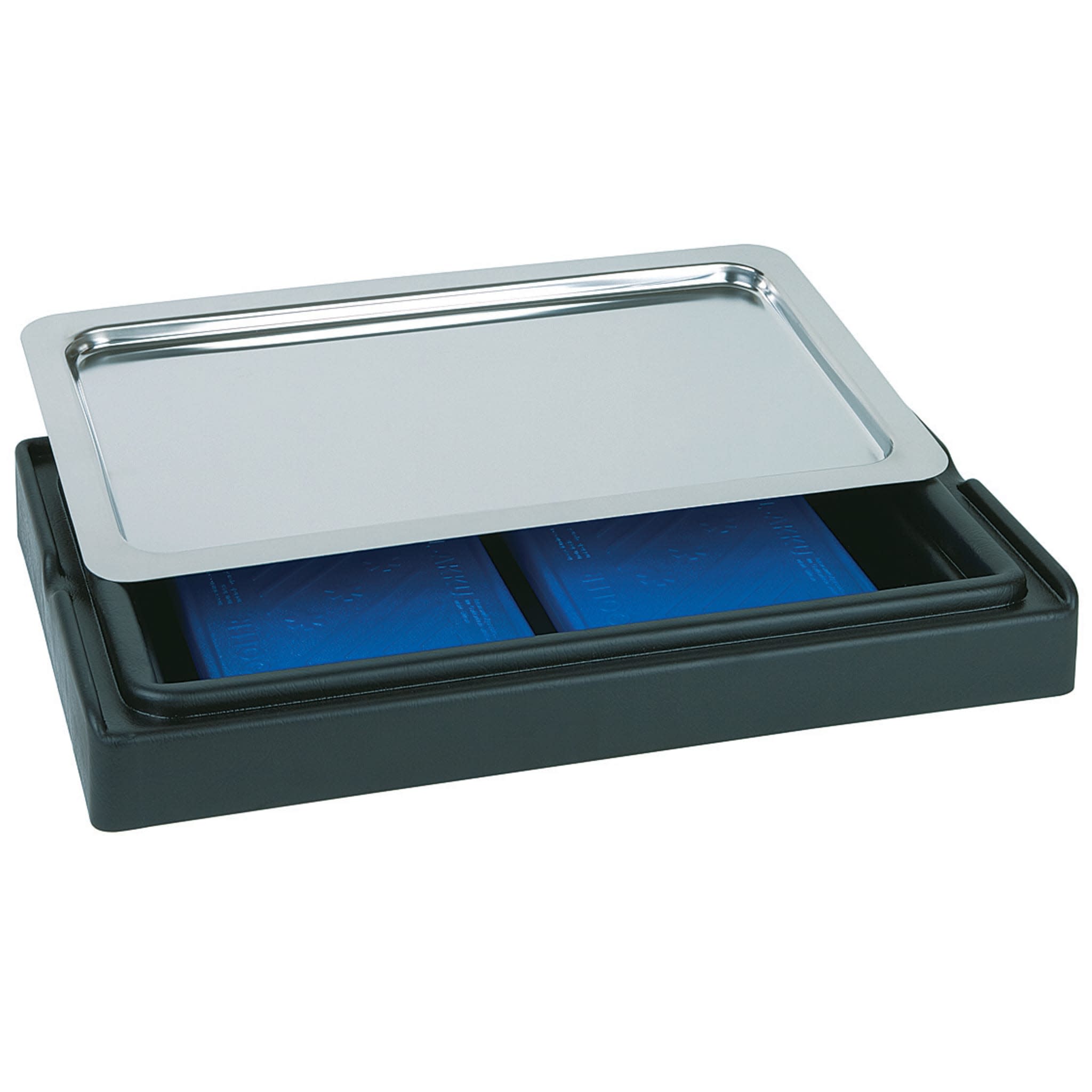 Showcase Gn 1/1 Cooling Plate