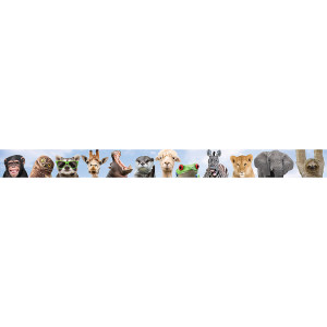 Go Wild Animals Straight Border Trim, 35 Feet
