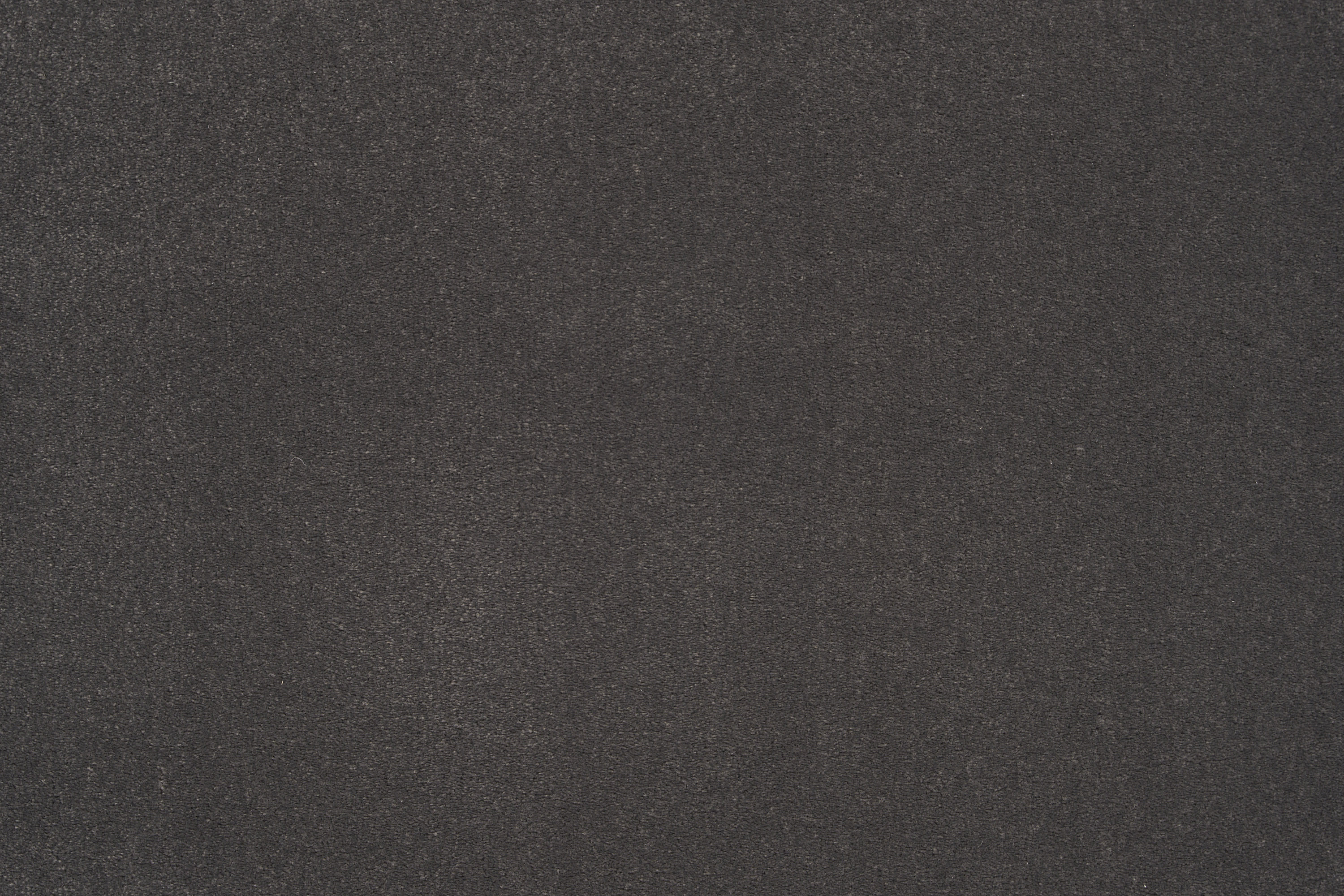 color-rug1
