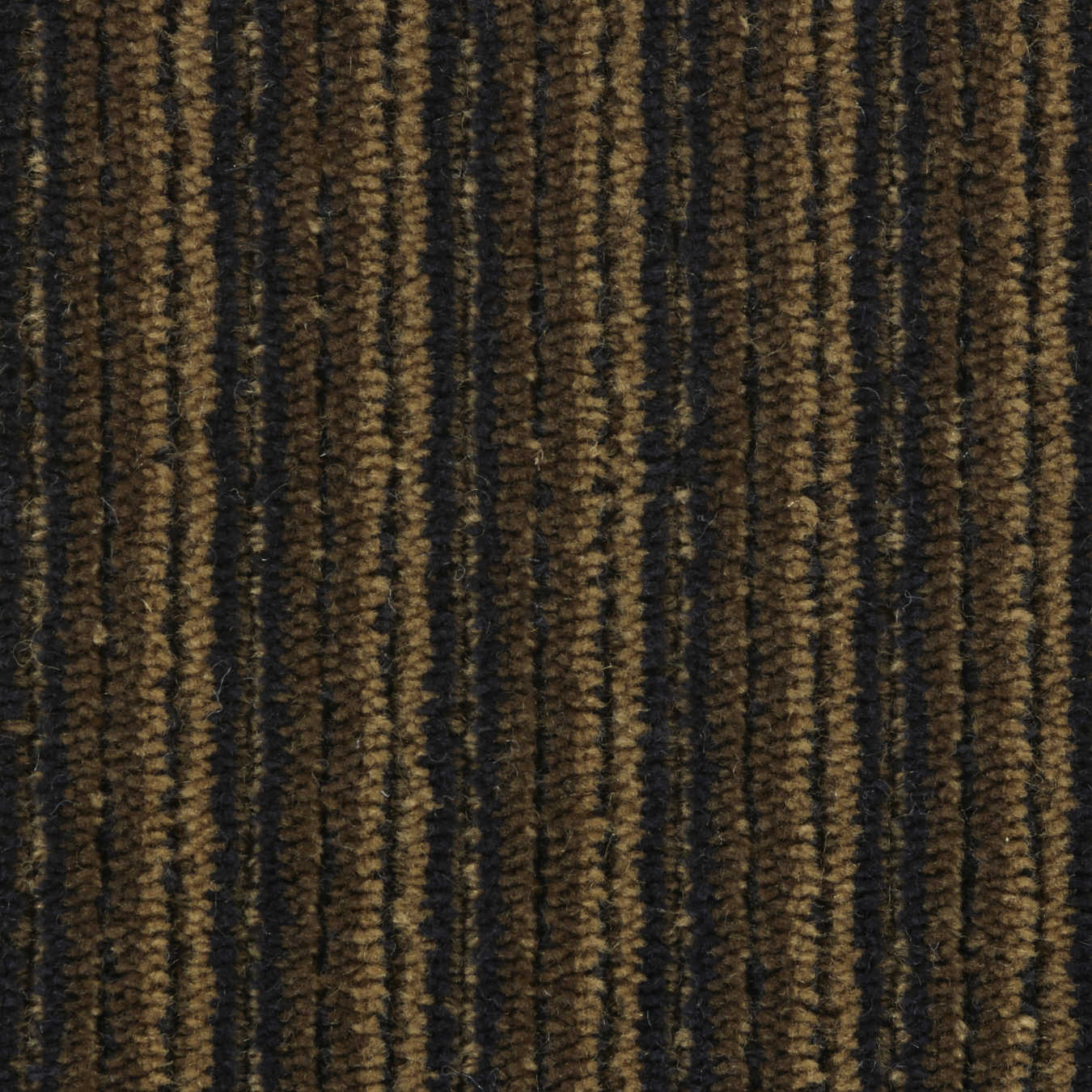 color-rug1