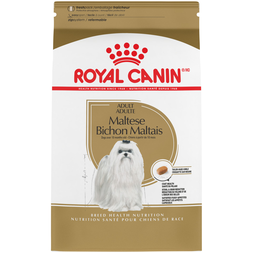 Maltese Adult Dry Dog Food Royal Canin