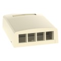 NetKey® Elongated Surface Mount Box, 4-Port, Electric Ivory
