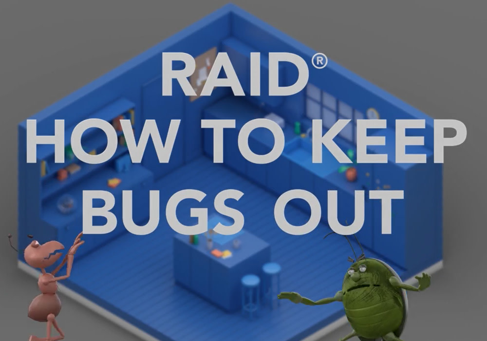 Raid MAX Perimeter Protection, Auto Trigger Refill, Kills Cockroaches