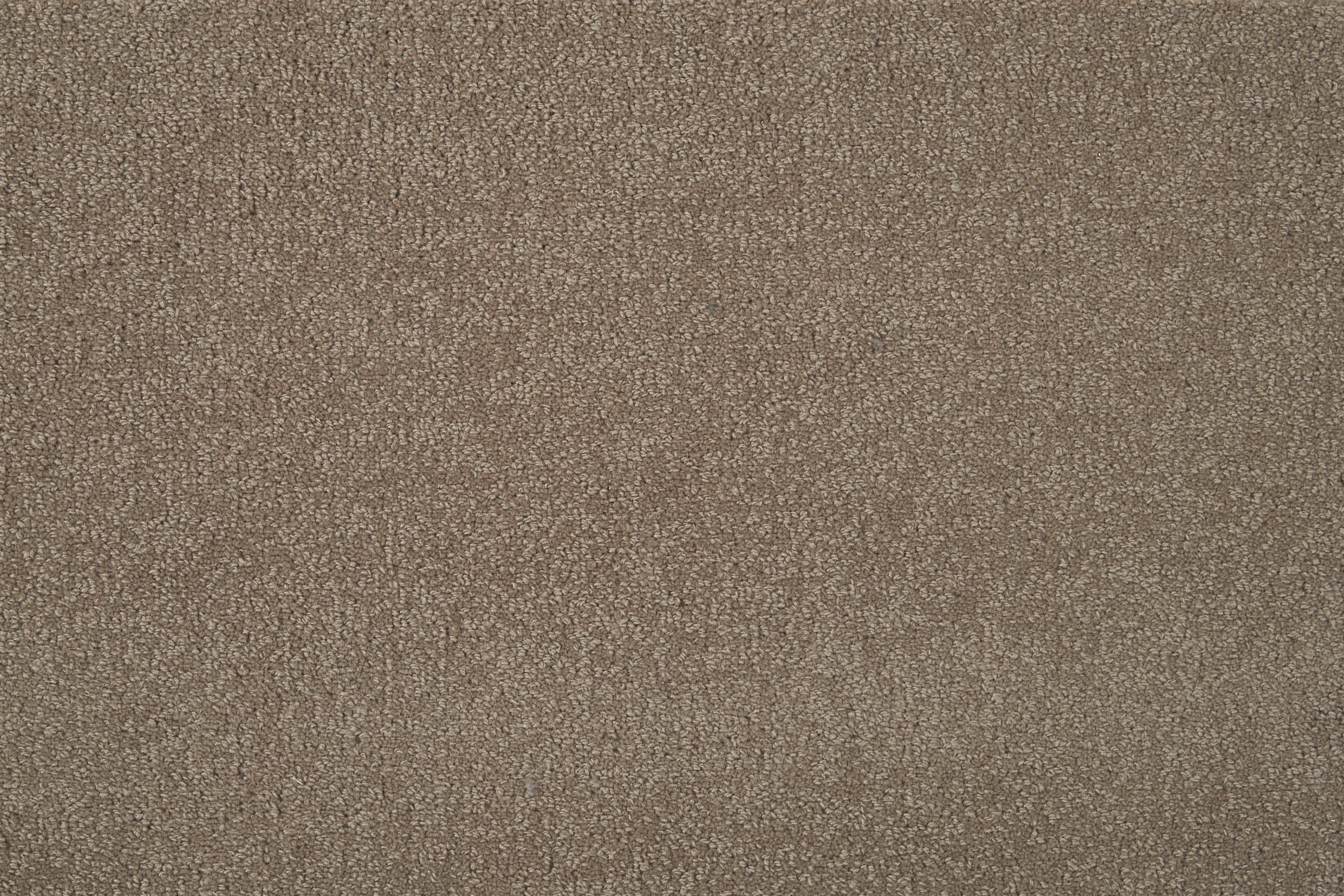 color-rug1