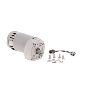 Brush Motor 200Rpm .75Hp