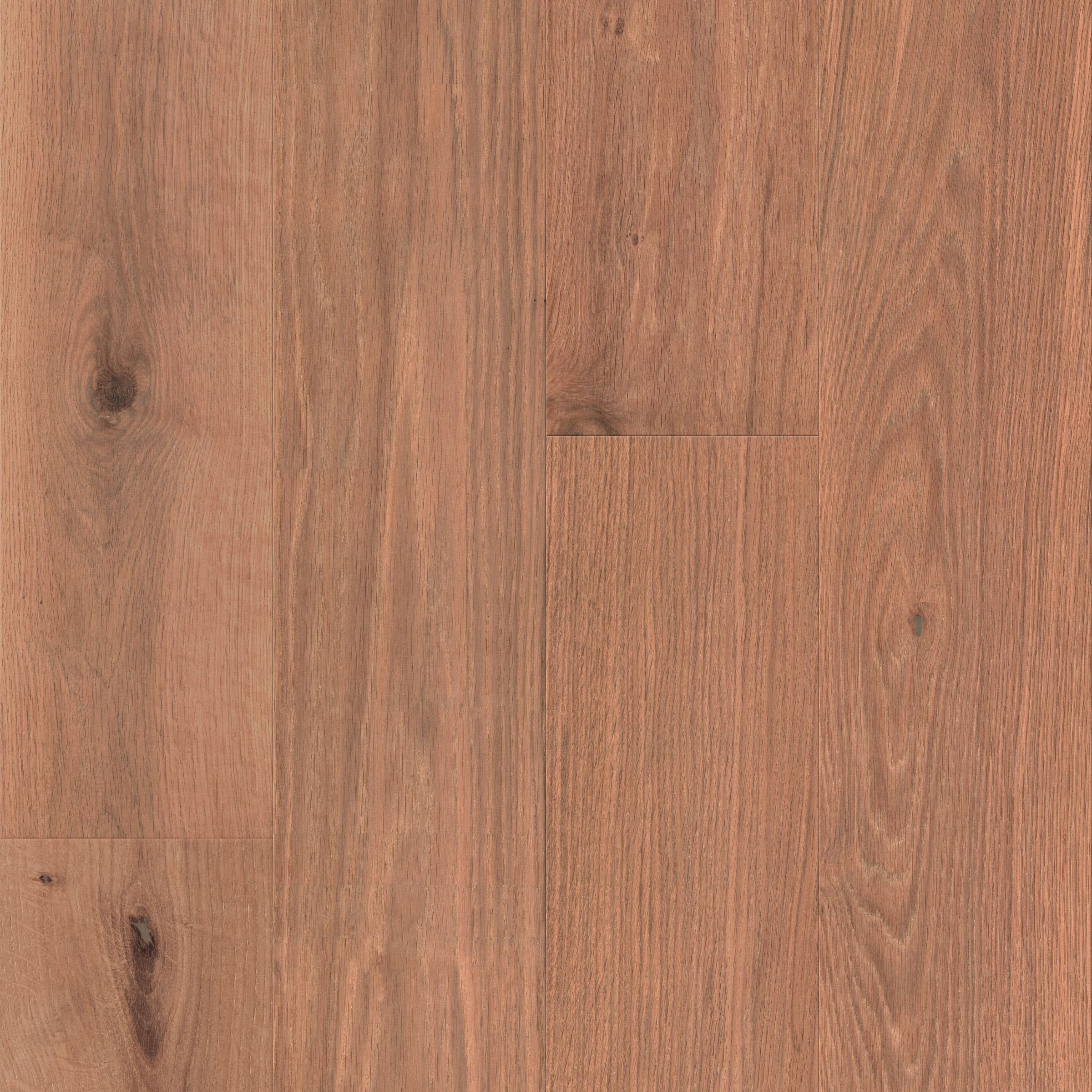 Champagne Sea Cali Hardwoods Threshold view 4