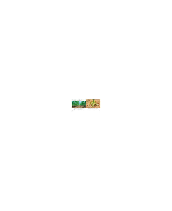 s--JsQ8QH7B--/skqtsjgibpnfiovvmupk.jpg