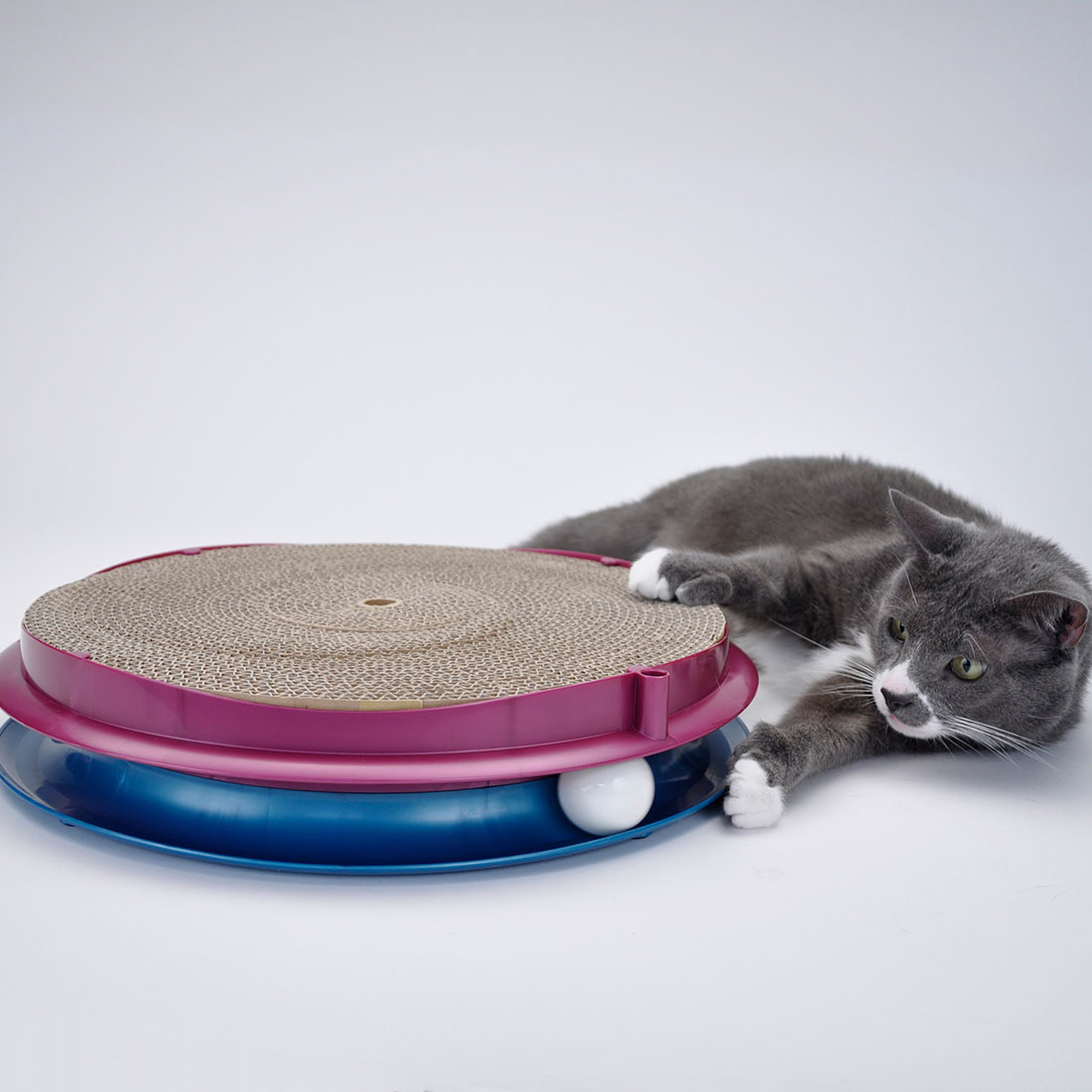 mega turbo cat toy