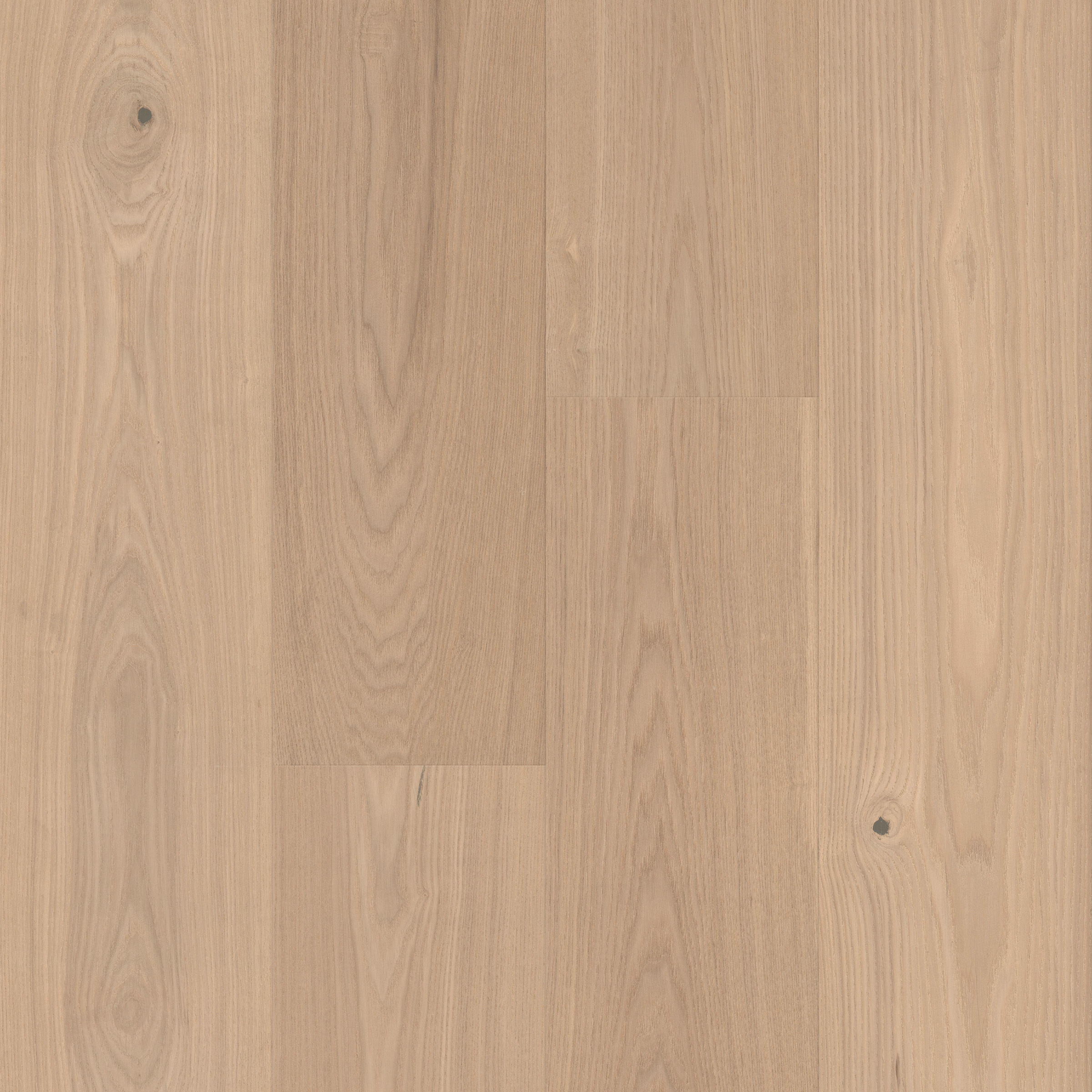 Clarified Ash Varietals Threshold view 3