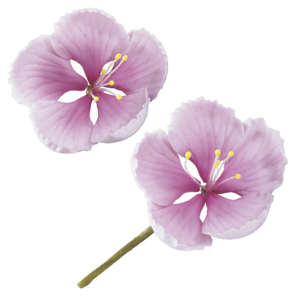 Cherry Blossoms Gum Paste Flowers