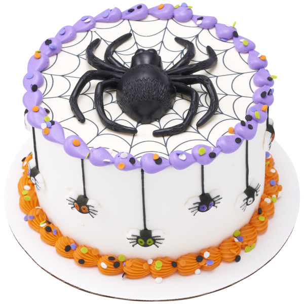 Spider & Bat Layon
