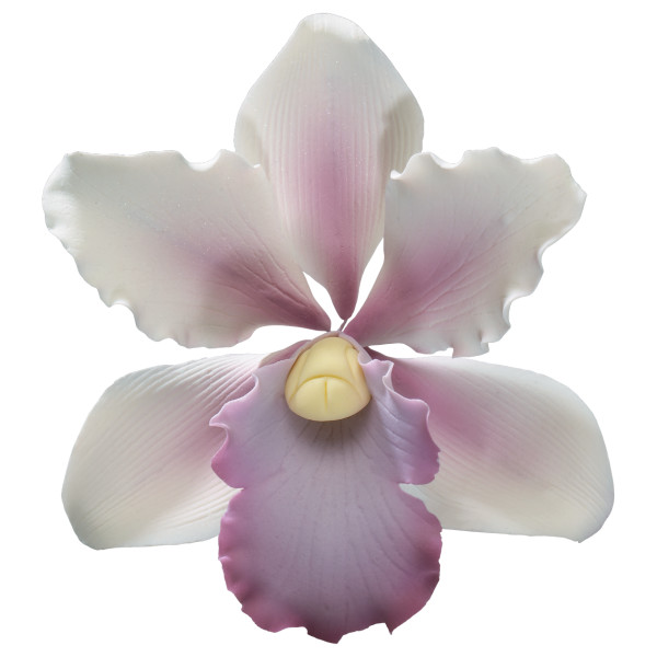 Tropical Orchid Gum Paste Flowers