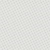 Bolt Silver Roller Blind