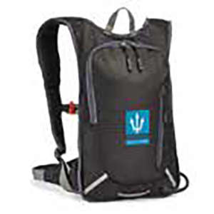 Hillyard, Trident®, ORB13 Optional 2 Liter Backpack