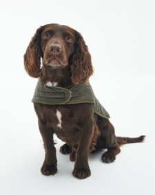 Baffle Quilted Dog Coat 