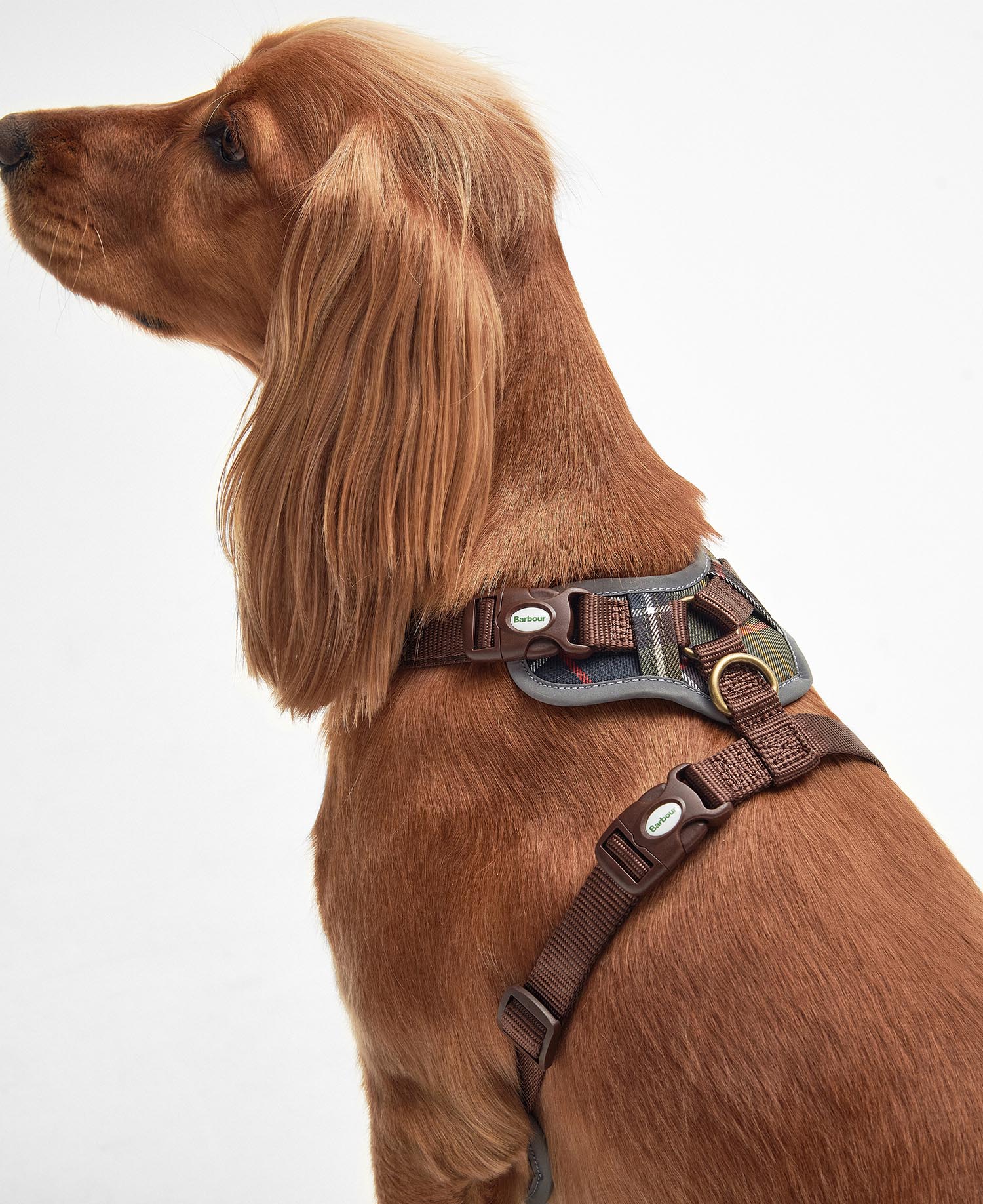 Adjustable Tartan Harness image number 3