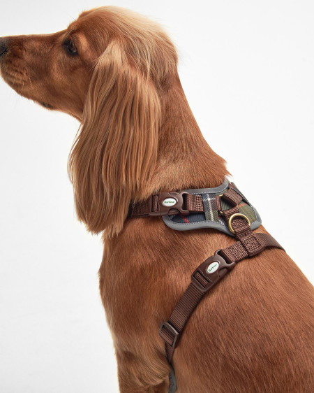 Adjustable Tartan Harness