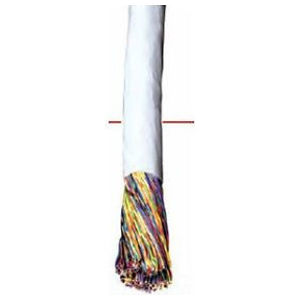 M55211 - Power Sum High Pair Count Backbone Cable, Category 3 Riser, 100-Pair, Gray, Cut Reel