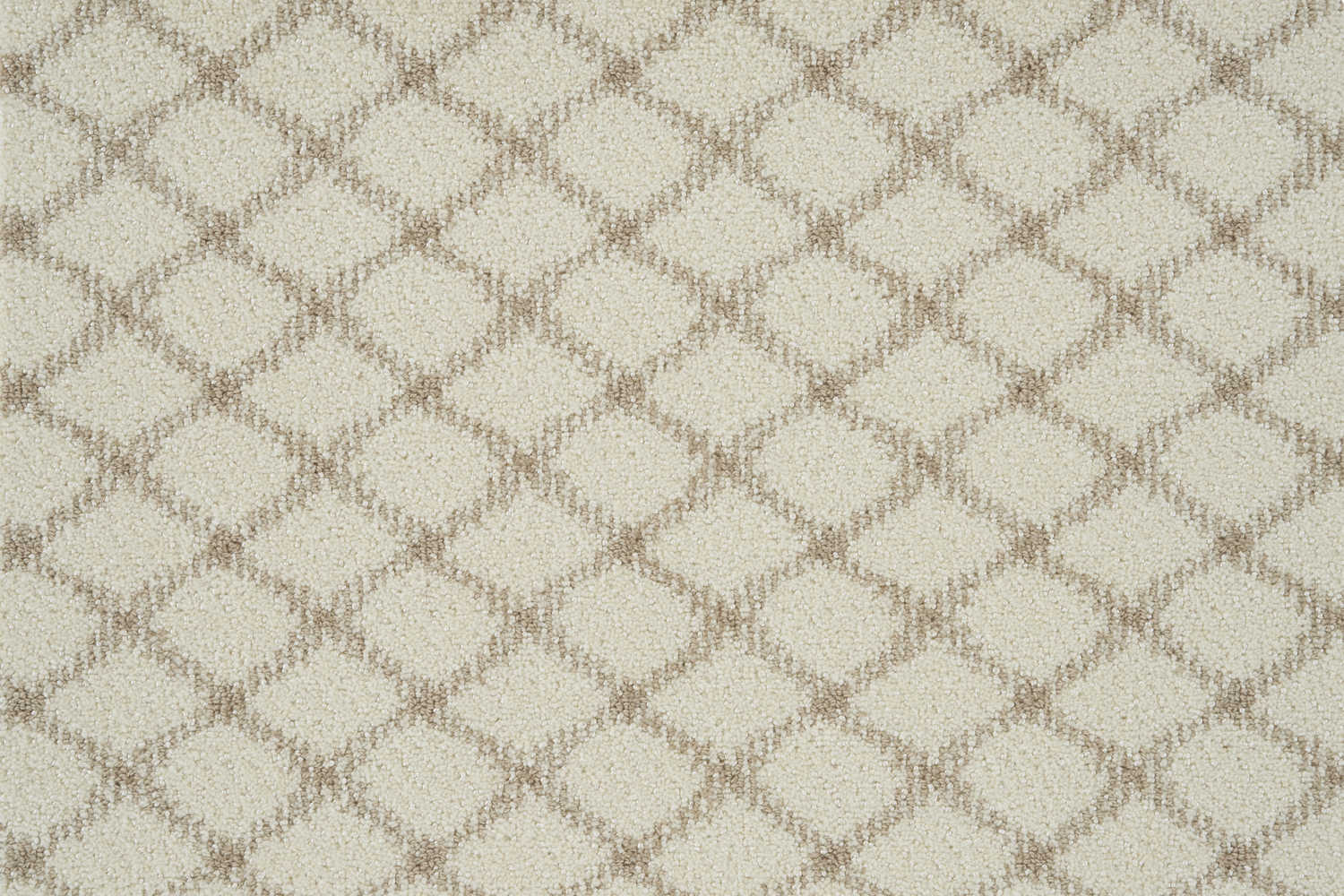 color-rug1