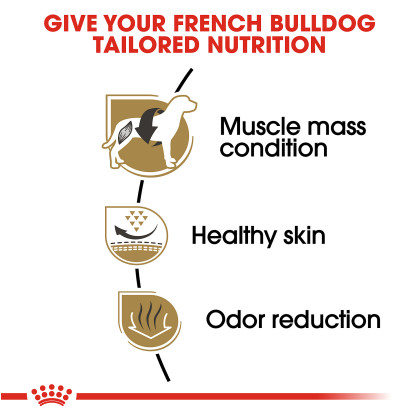 French Bulldog Adult Dry Dog Food