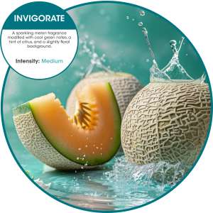 Fresh Products, Oxyfresh Air Freshener Refill, Invigorate