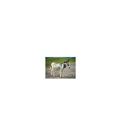 s--K9TFhLcG--/lom4heqgh8rqx8mj4yyv.jpg