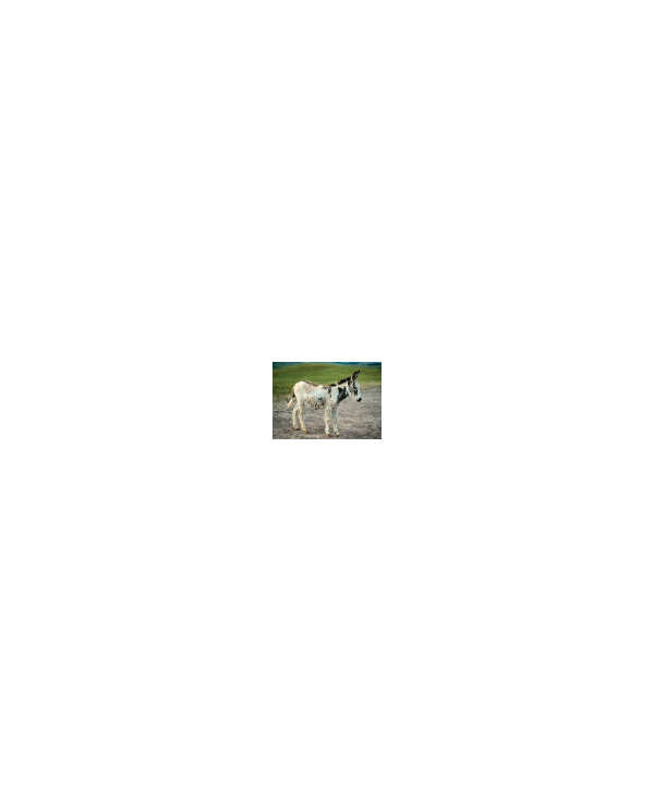 s--K9TFhLcG--/lom4heqgh8rqx8mj4yyv.jpg