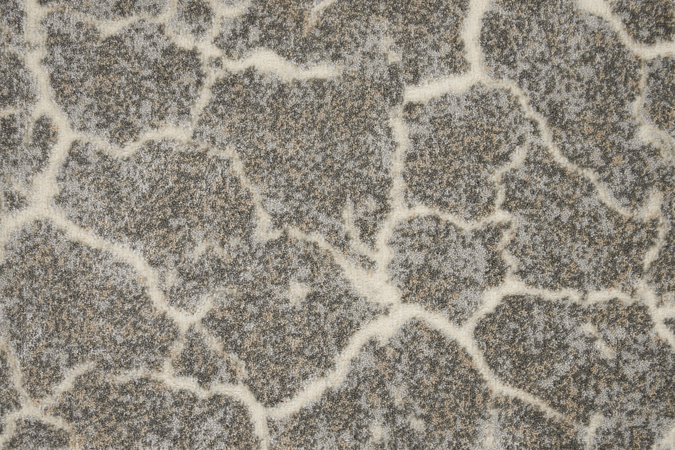 color-rug1