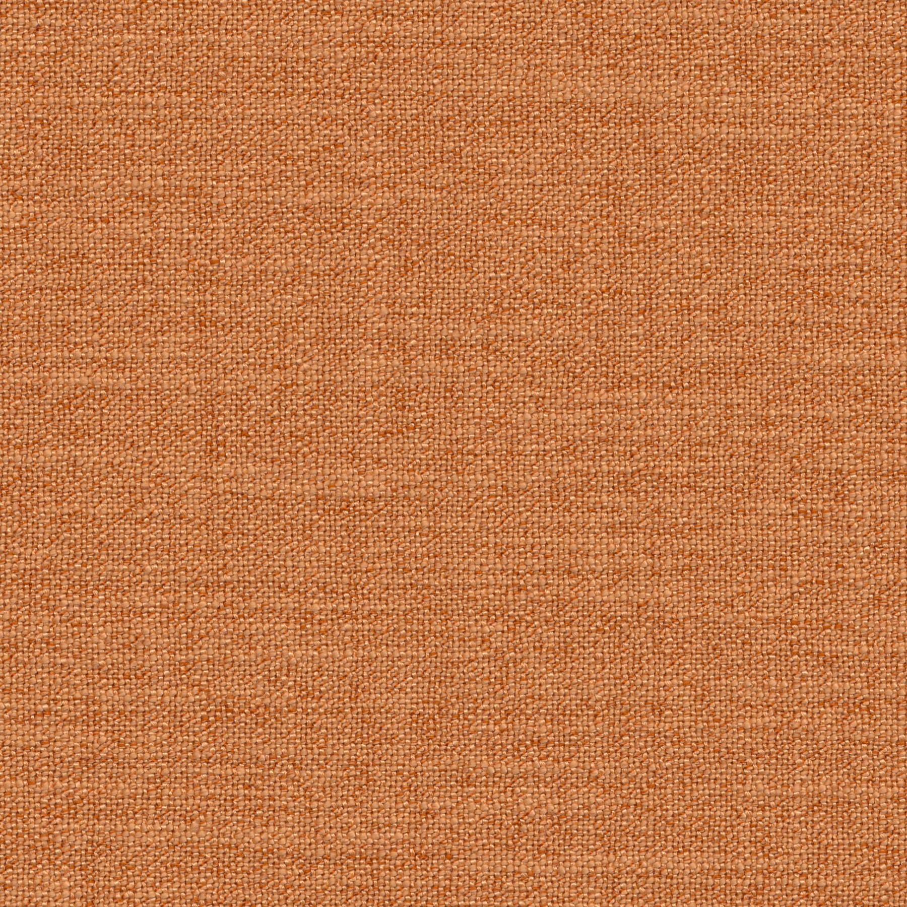 Toulouse 0665 Curtains