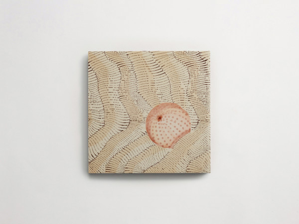 Giovanni De Maio + Cristina Celestino: Thalassa | Decoro 2 | Avana 