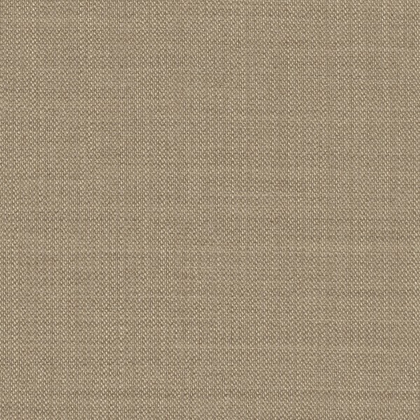 SAVOR-79 Curtains