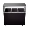 46-inch 120-volt three-well 2-Series deluxe hot-food station with granite-style base, open storage compartment and cafeteria-style breath guard