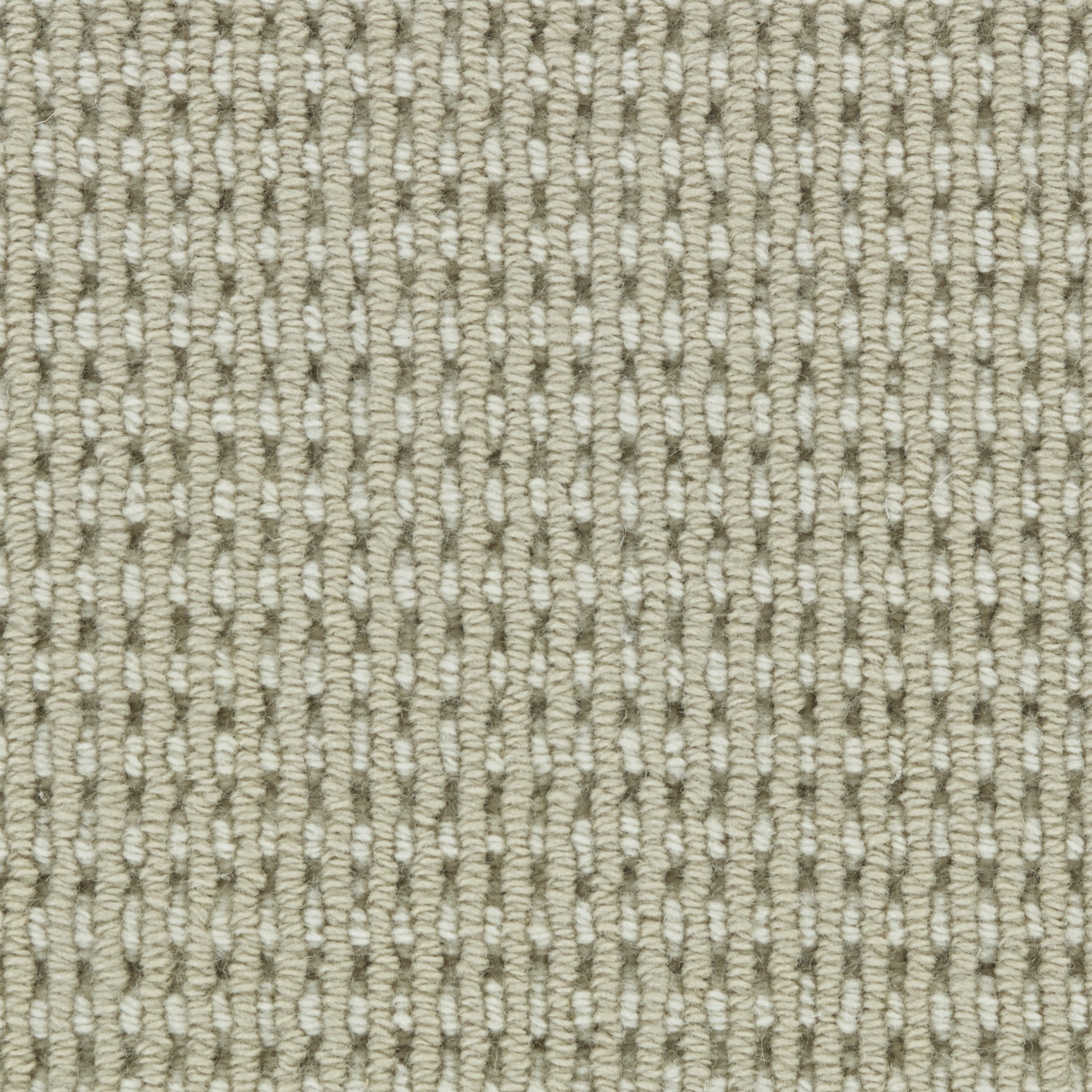 color-rug1