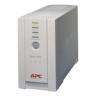 APC Back-UPS® 500 Tower Style