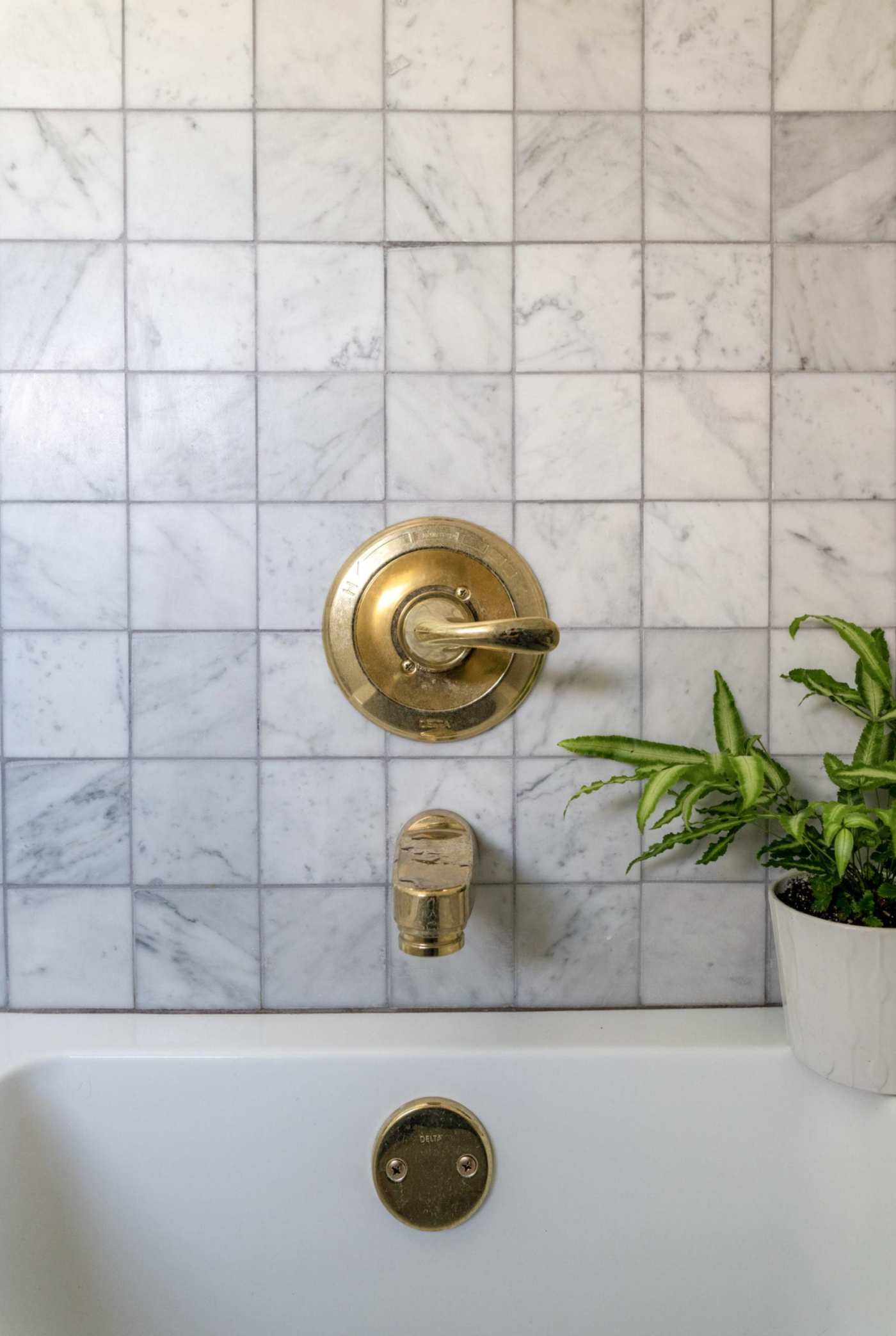 a bathroom with a gold faucet and a plant on the wall.