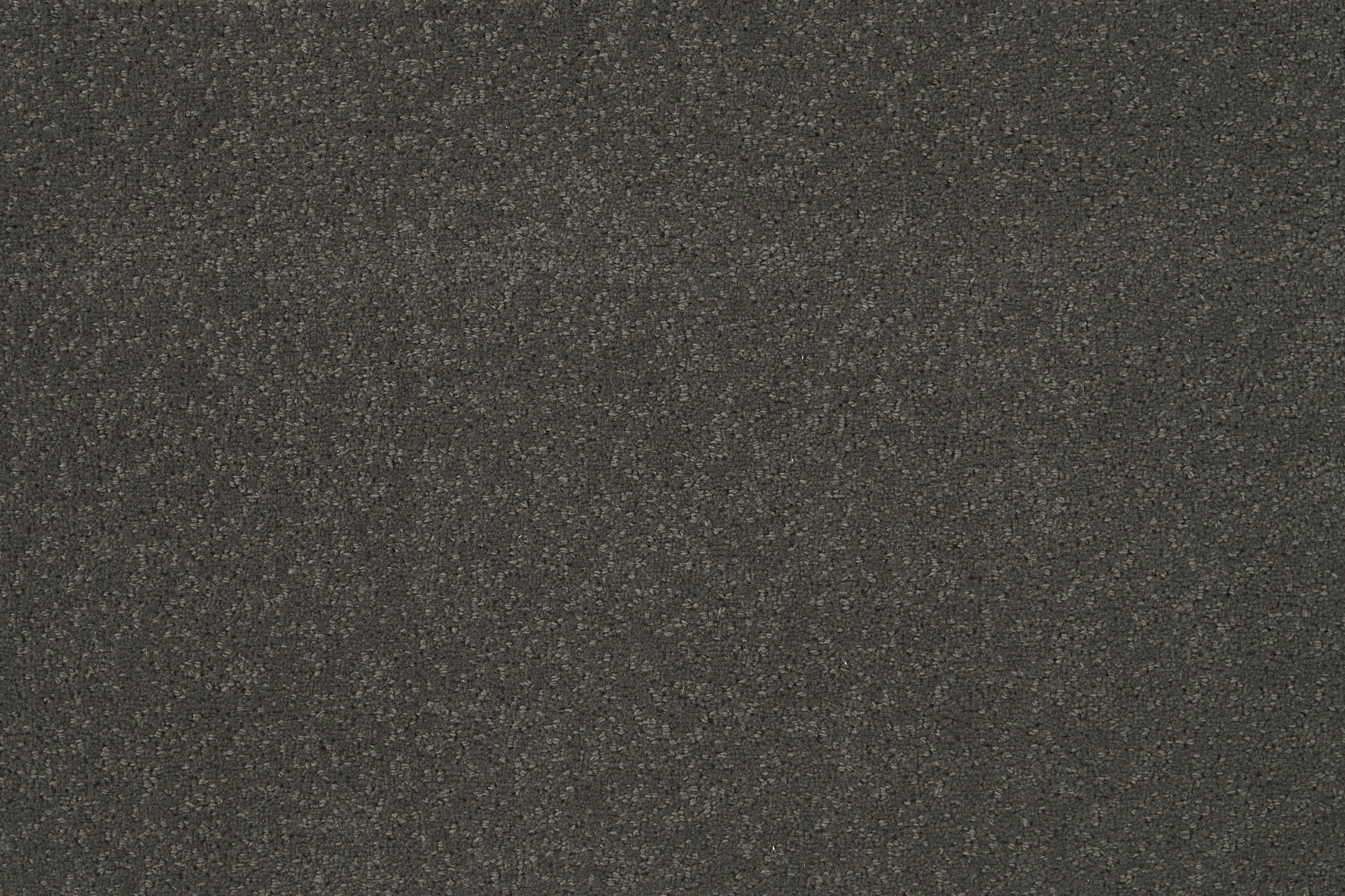 color-rug1