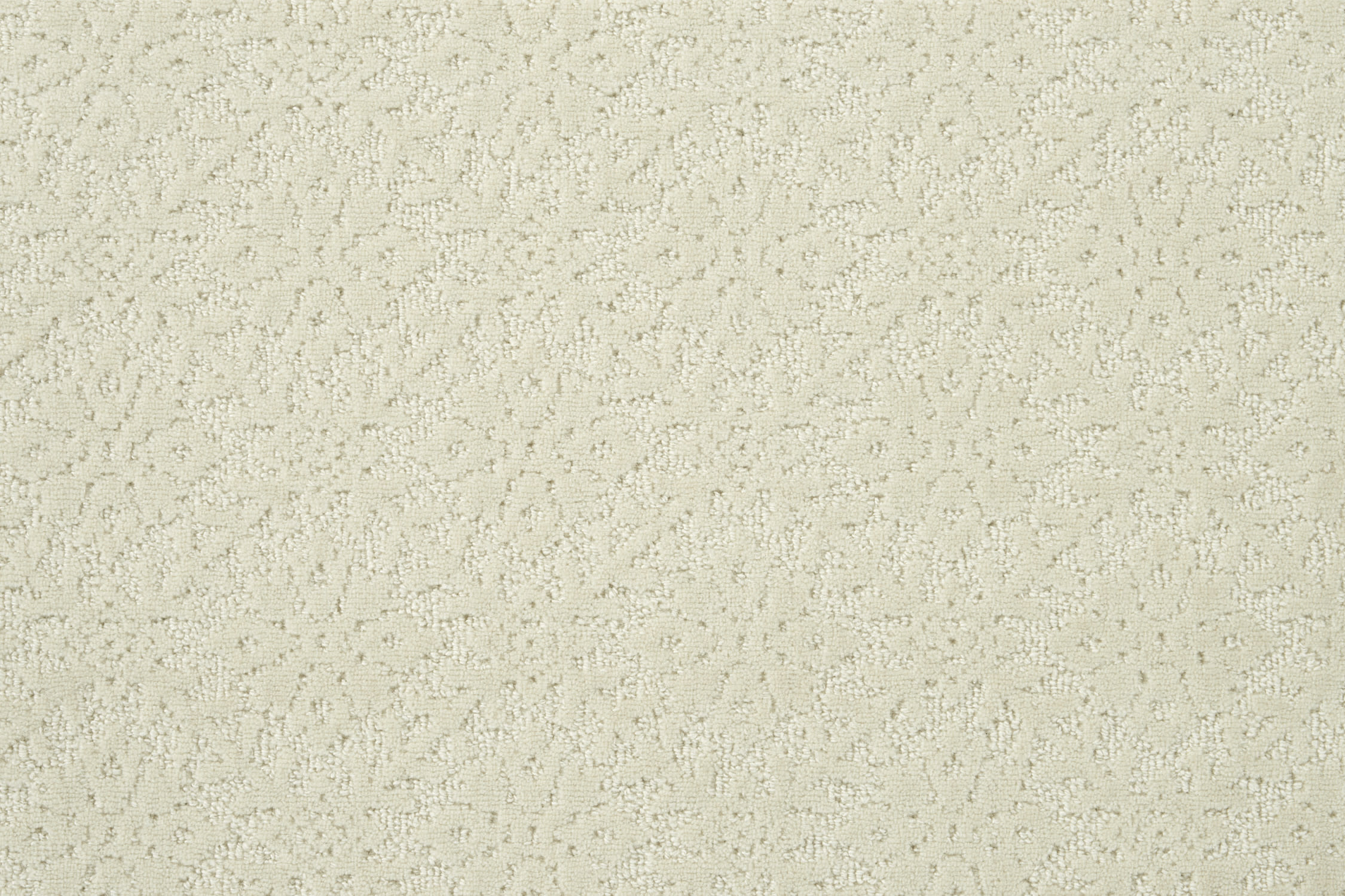 color-rug1