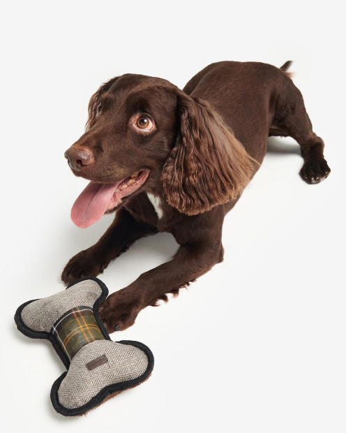 Giocattolo per cani 