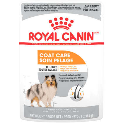 Royal Canin Canine Care Nutrition Coat Care Pouch Dog Food