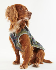 Cappotto impermeabile per cani Tartan 