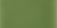 Vivid Avocado 3×6 Field Tile Glossy