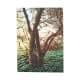 60"w x 82"h Graphic