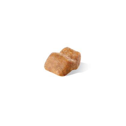 Bulldog Puppy kibble