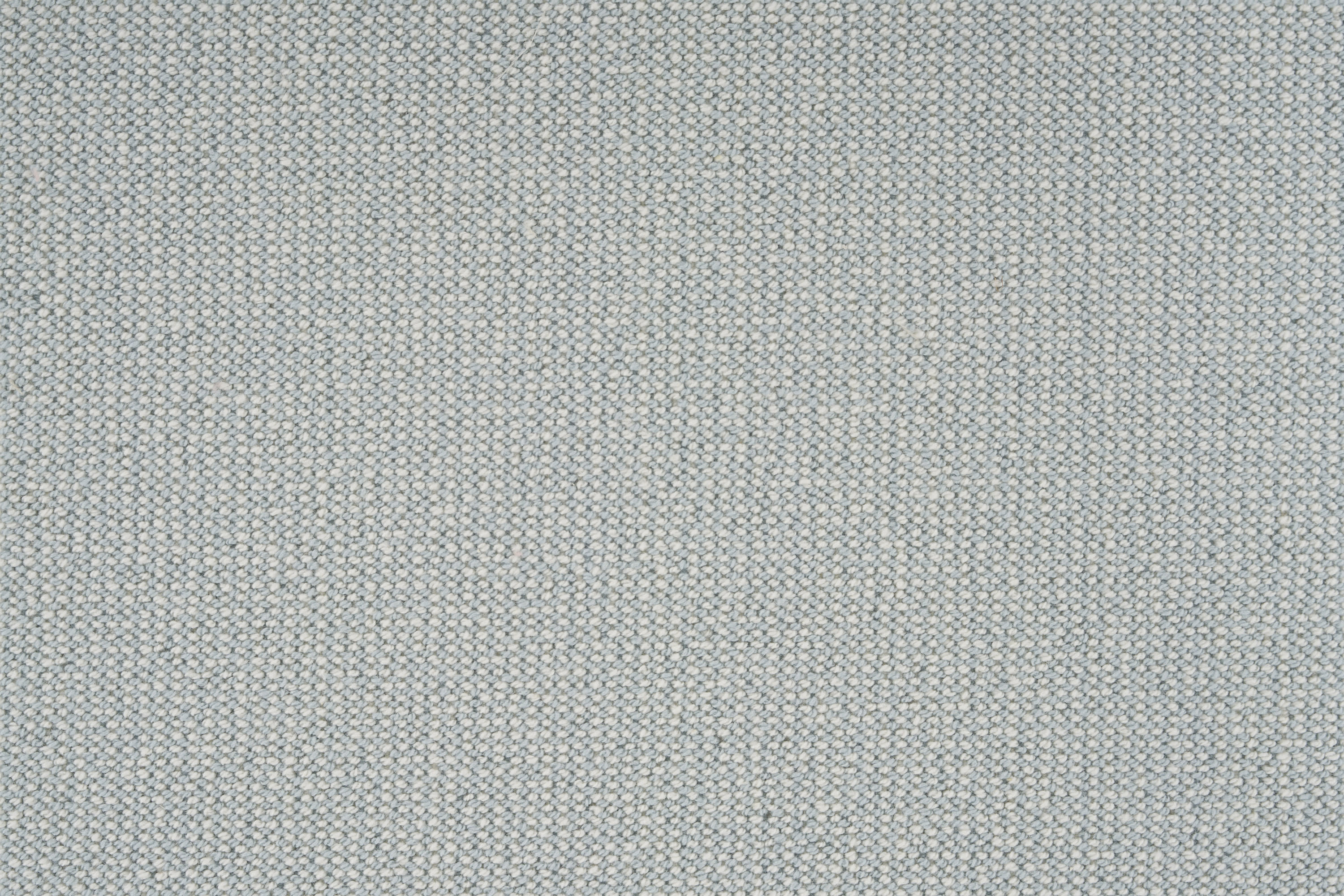 color-rug1