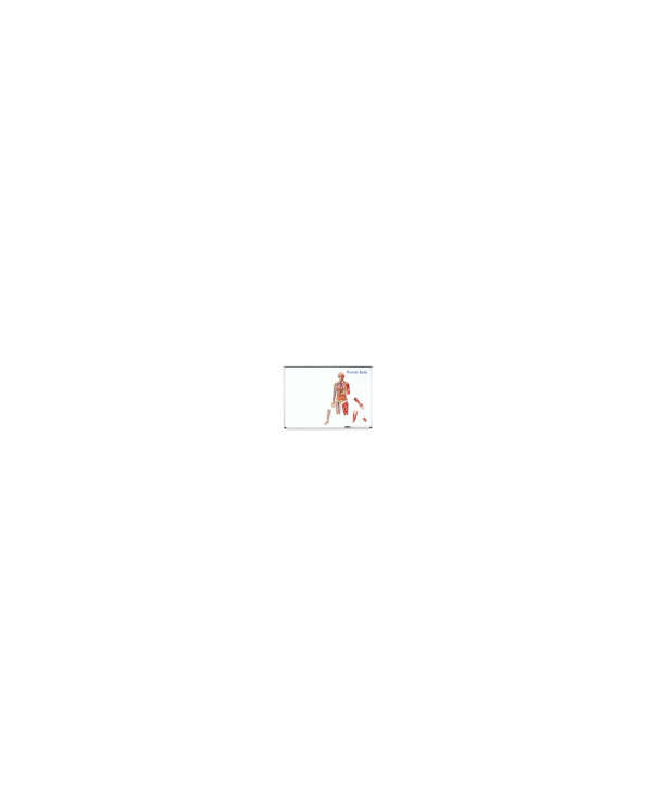 s--K_7_Ggrv--/tzbgc1mfpwiauqlf76rl.jpg