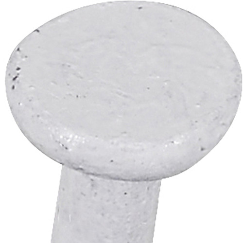 FasnTite Colored Aluminum Trim Nails Trim Nails Nails