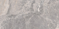 Starling Silver Grey 24×48 Field Tile Polished Rectified
