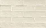 Tongue in Chic Don’T Be A Shell Out 2-1/2×10-1/2 Wall Tile Gloss