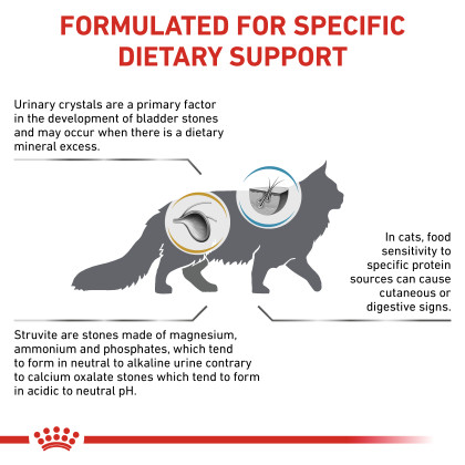 Urinary SO + Hydrolyzed Protein Dry Cat Food