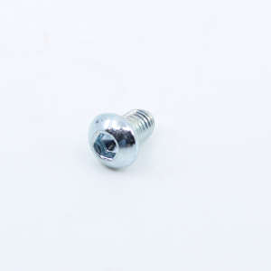 Socket Screw 6X10 Iso 7380 Galv